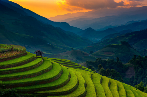mu-cang-chai-young-travel01