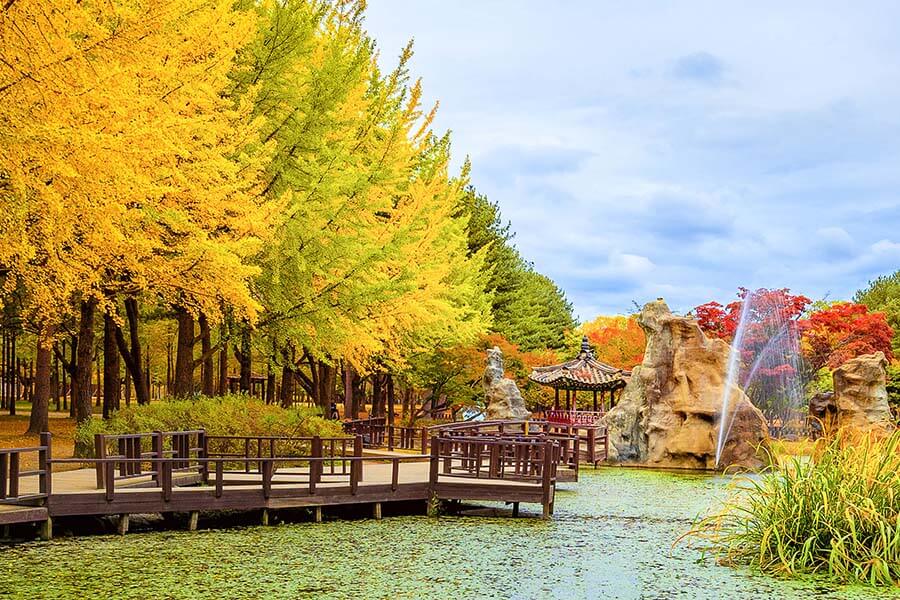 image-kham-pha-kinh-nghiem-du-lich-dao-nami-han-quoc-moi-nhat-e6dcffa6434807ee516eb8e17e71c7b3