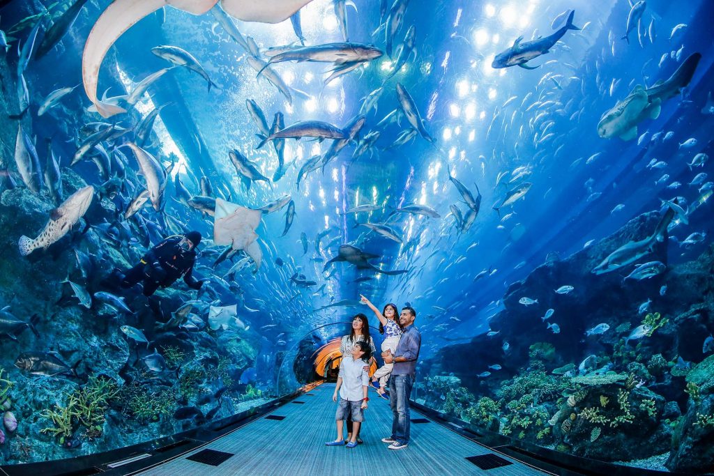 Dubai-Aquarium_Tunnel-1024x683